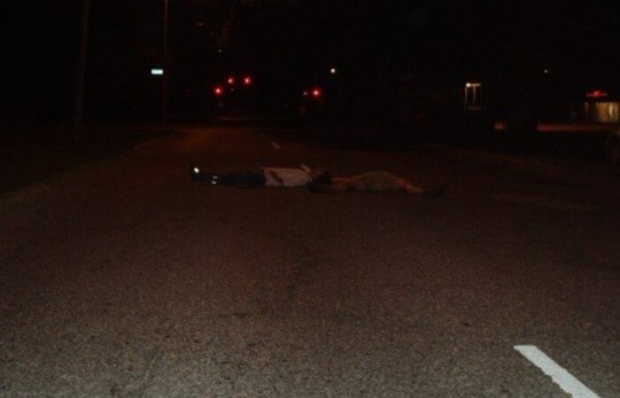 Two friends lying in the middle of a dark, empty street in Lakeview, New Orleans, after Hurricane Katrina. The street is quiet with no lights or visible activity, reflecting the stillness of the city.